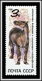 Chalicotherium