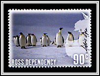 Andris Apse - Emperor Penguins