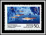 Krill Research