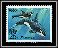 Orcinus Orca