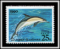 Delphinus Delphis