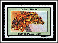 The Emperor Dafin