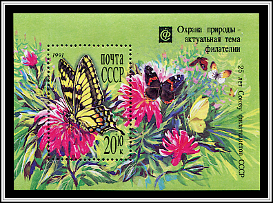 Papilio Machaon