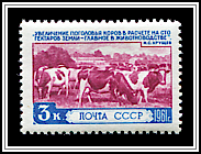 Herd of Cattle