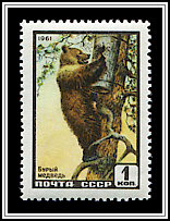 Ursus Arctos
