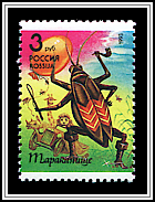 Jumbo Cockroach