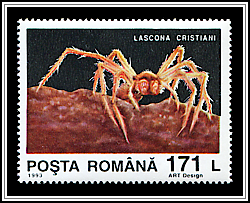 Lascona Cristiani