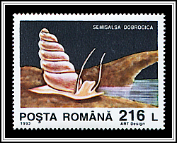 Semisalsa Dobragica