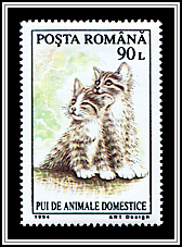 Kittens