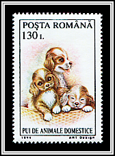 Puppies