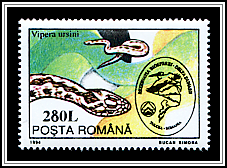Vipera Ursini