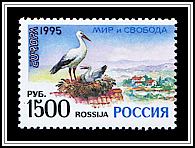 Ciconia Ciconia