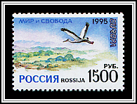 Ciconia Ciconia