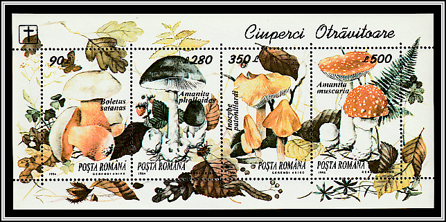 Poisonous Mushrooms