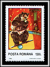 Brown Bear