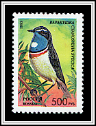 Cyanosylvia Svecica