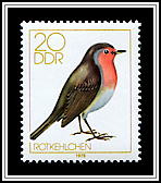 Fringilla Coelebs