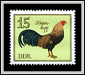 Country Chicken