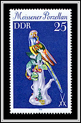 Parrot with Cherry