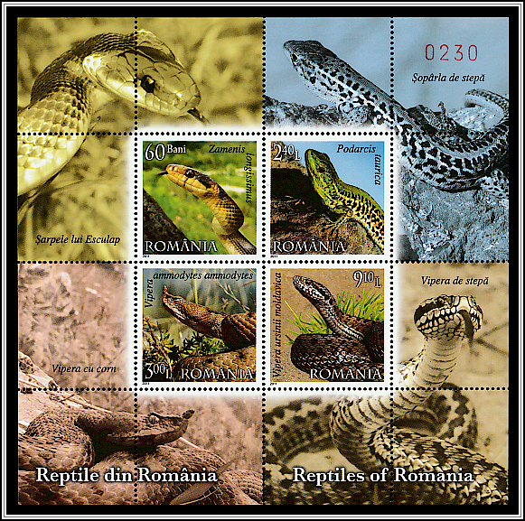 Reptiles of Romania