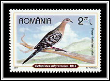 Passenger Pigeon (Ectopistes migratorius)