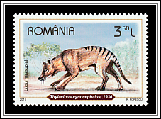Tasmanian Tiger (Thylacinus cynocephalus)