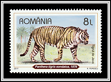 Javan Tiger (Panthera tigris sondaica)