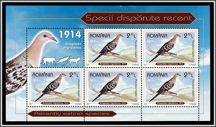 Passenger Pigeon (Ectopistes migratorius)