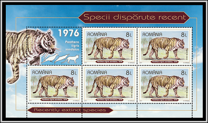 Javan Tiger (Panthera tigris sondaica)