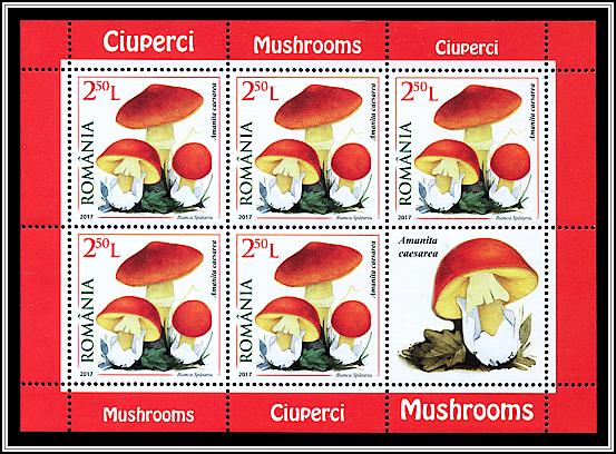 Amanita Caesarea