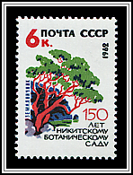 Arbutus Andrachne