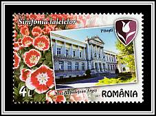 Argeș County Museum