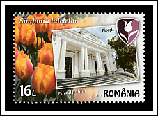 Court of Appeals