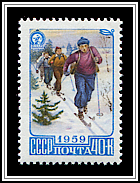 Cross Country Skiing