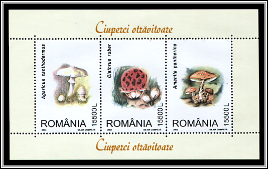 Poisonous Mushrooms