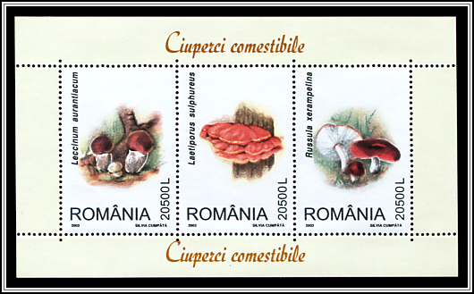 Edible Mushrooms