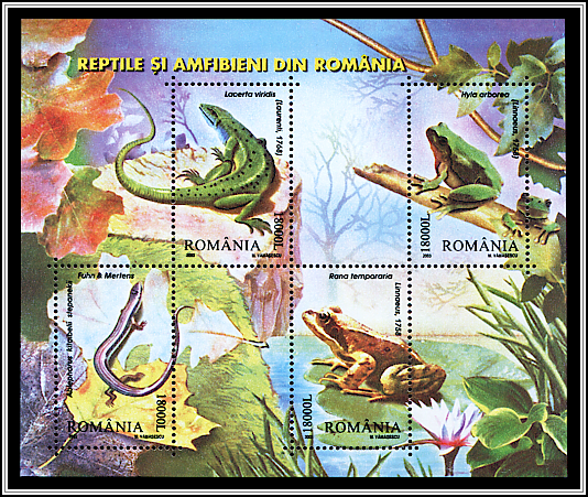 Souvenir Sheet