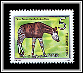 Okapi