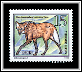 Maned Wolf