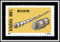 Bucium