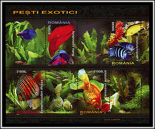 Souvenir Sheet