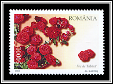 Foc de Tabără 
