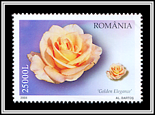 Golden Elegance