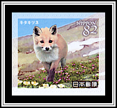 Red Fox