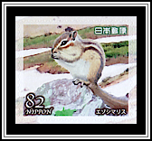 Siberian Chipmunk