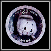 Siberian Flying Squirrel