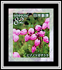 Blue Heath