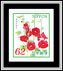 Hollyhock