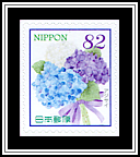 Hydrangea
