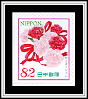 Carnation